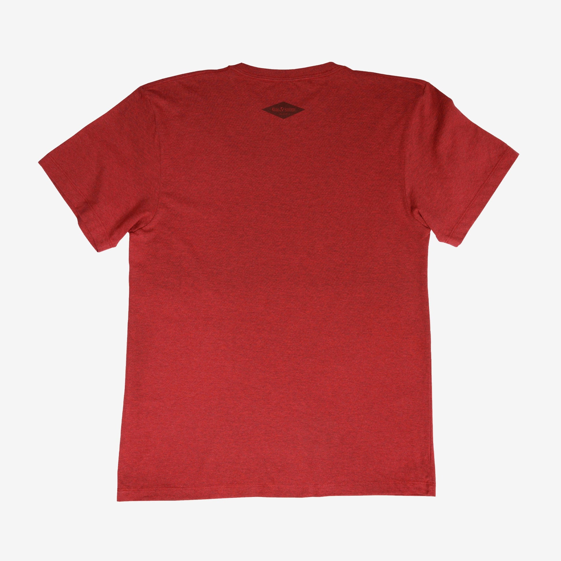 backyard-t-shirt-l5 Shirt_Mtn_Back.jpg